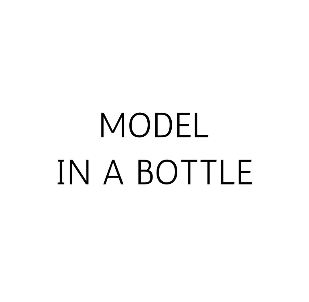 MODEL IN A BOTTLE